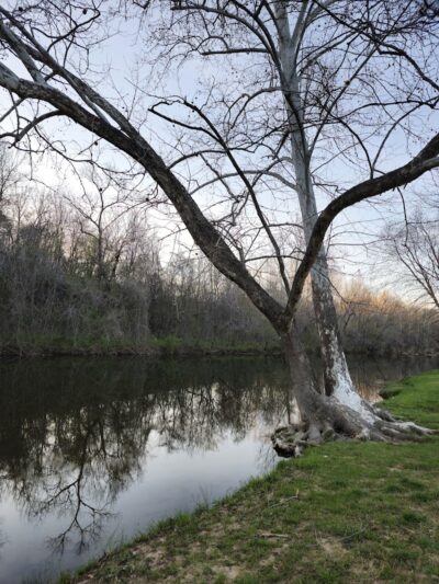 Walther Park - De Soto, MO