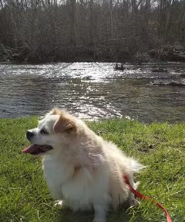 Walther Park - De Soto, MO