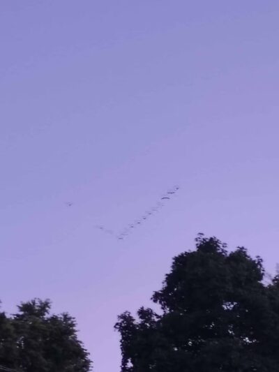 Walther Park - De Soto, MO