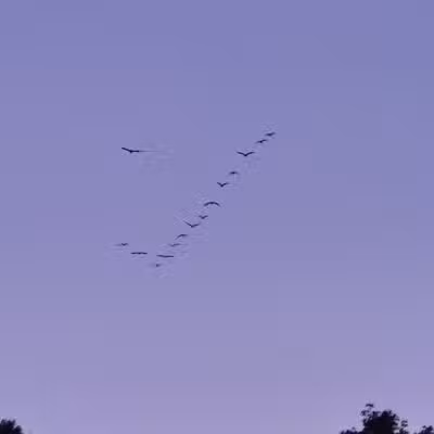 Walther Park - De Soto, MO