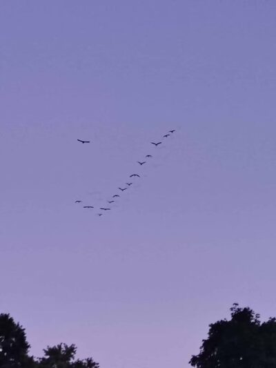 Walther Park - De Soto, MO