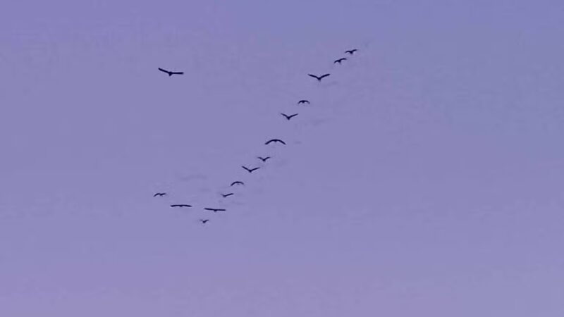 Walther Park - De Soto, MO