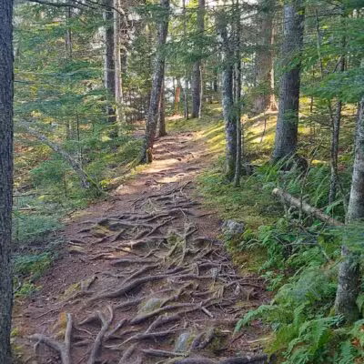 Edgar M. Tennis Preserve - Deer Isle, ME