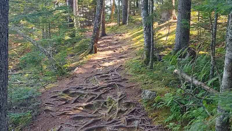 Edgar M. Tennis Preserve - Deer Isle, ME