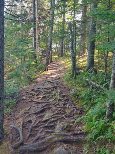 Edgar M. Tennis Preserve - Deer Isle, ME