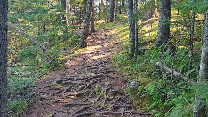 Edgar M. Tennis Preserve - Deer Isle, ME