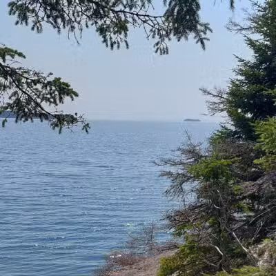 Edgar M. Tennis Preserve - Deer Isle, ME