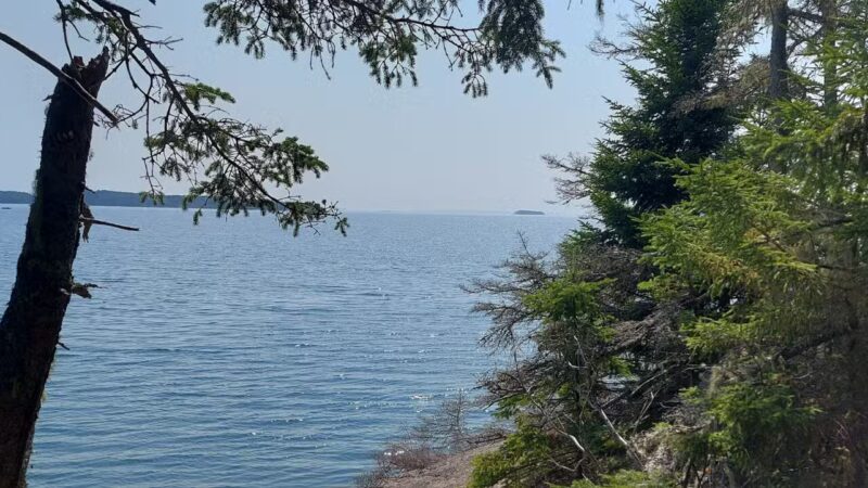 Edgar M. Tennis Preserve - Deer Isle, ME