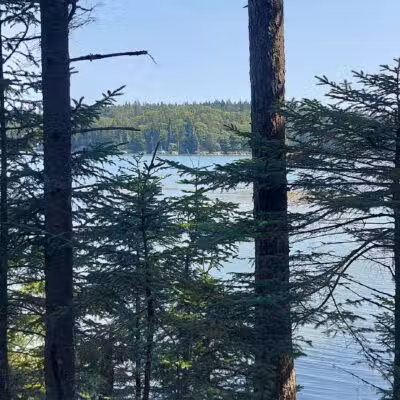 Edgar M. Tennis Preserve - Deer Isle, ME