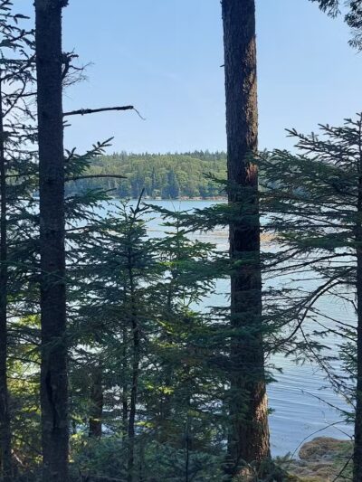Edgar M. Tennis Preserve - Deer Isle, ME