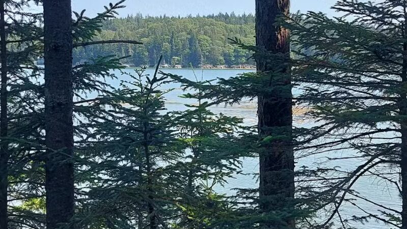 Edgar M. Tennis Preserve - Deer Isle, ME