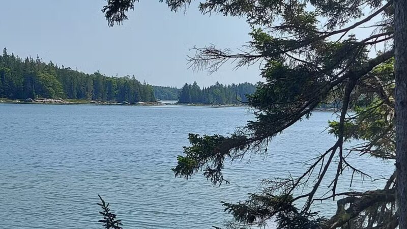 Edgar M. Tennis Preserve - Deer Isle, ME