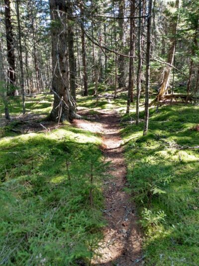 Edgar M. Tennis Preserve - Deer Isle, ME