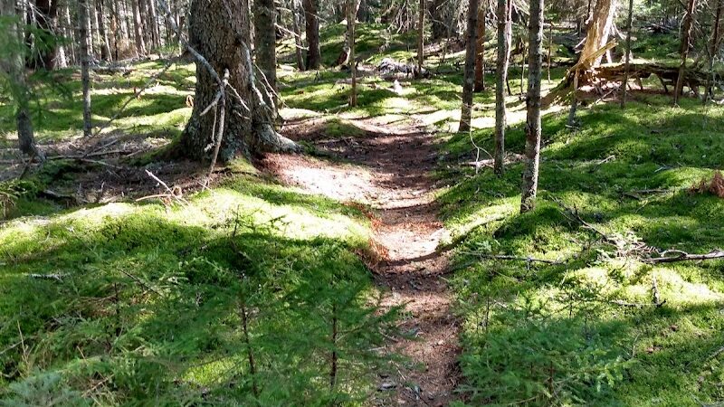Edgar M. Tennis Preserve - Deer Isle, ME