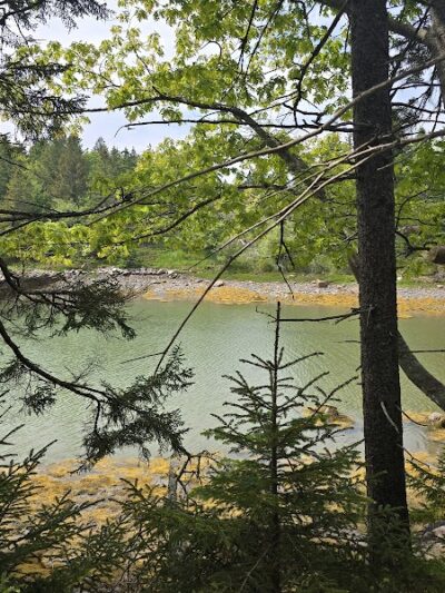 Edgar M. Tennis Preserve - Deer Isle, ME