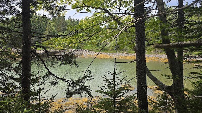 Edgar M. Tennis Preserve - Deer Isle, ME