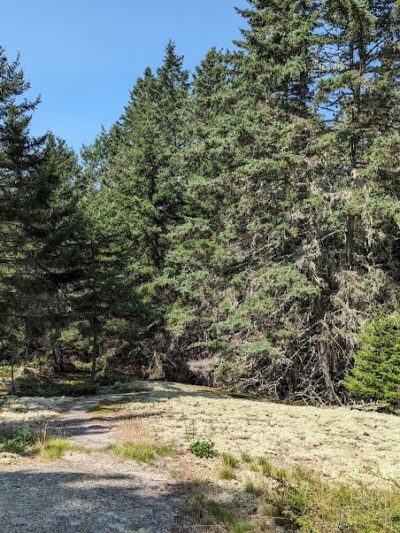 Edgar M. Tennis Preserve - Deer Isle, ME