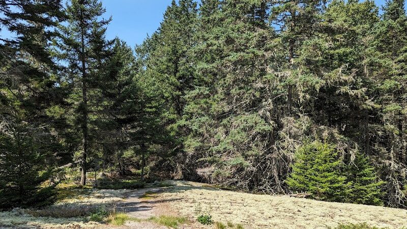 Edgar M. Tennis Preserve - Deer Isle, ME