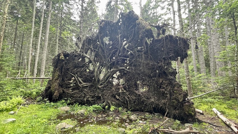 Edgar M. Tennis Preserve - Deer Isle, ME