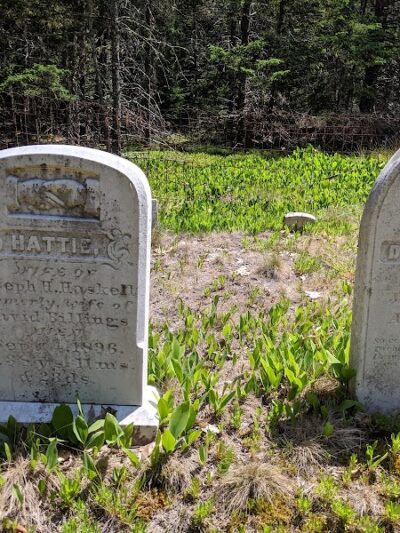 Edgar M. Tennis Preserve - Deer Isle, ME