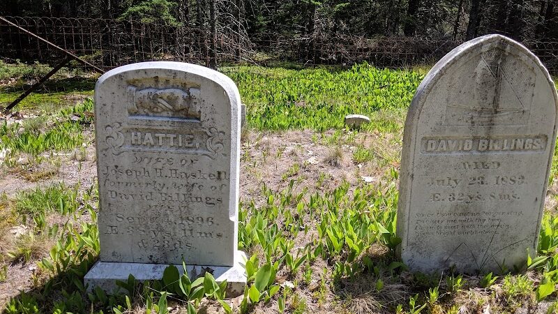 Edgar M. Tennis Preserve - Deer Isle, ME