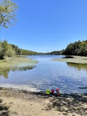 Lily Pond Park - Deer Isle, ME
