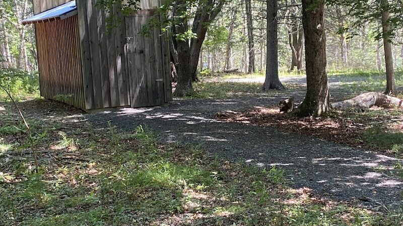 Lily Pond Park - Deer Isle, ME