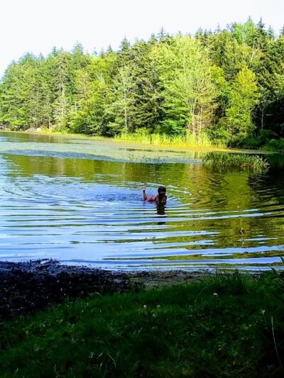 Lily Pond Park - Deer Isle, ME