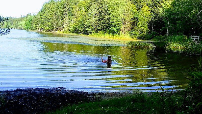 Lily Pond Park - Deer Isle, ME