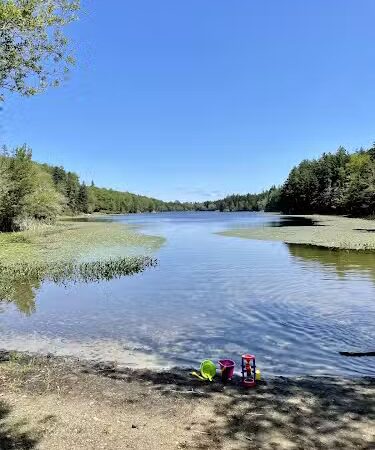 Lily Pond Park - Deer Isle, ME