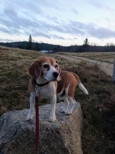 Mariners Memorial Park Deer Isle Maine - Deer Isle, ME