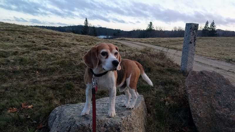 Mariners Memorial Park Deer Isle Maine - Deer Isle, ME