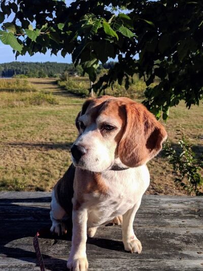 Mariners Memorial Park Deer Isle Maine - Deer Isle, ME