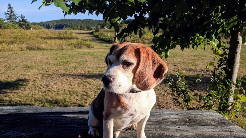 Mariners Memorial Park Deer Isle Maine - Deer Isle, ME