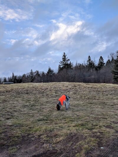 Mariners Memorial Park Deer Isle Maine - Deer Isle, ME