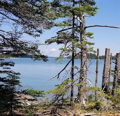 Shore Acres Preserve - Deer Isle, ME