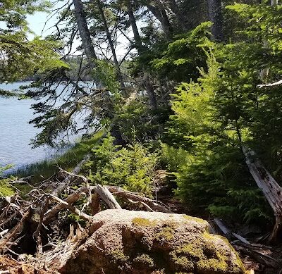 Shore Acres Preserve - Deer Isle, ME