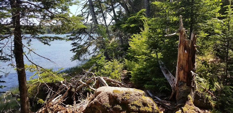 Shore Acres Preserve - Deer Isle, ME