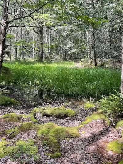 Shore Acres Preserve - Deer Isle, ME