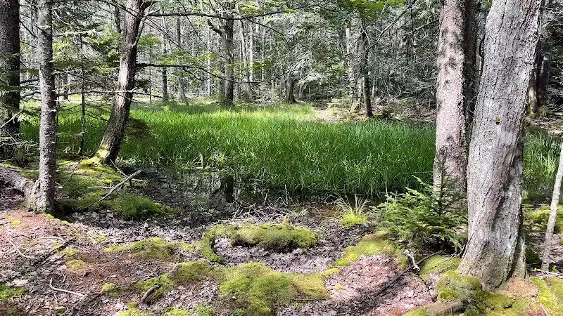 Shore Acres Preserve - Deer Isle, ME