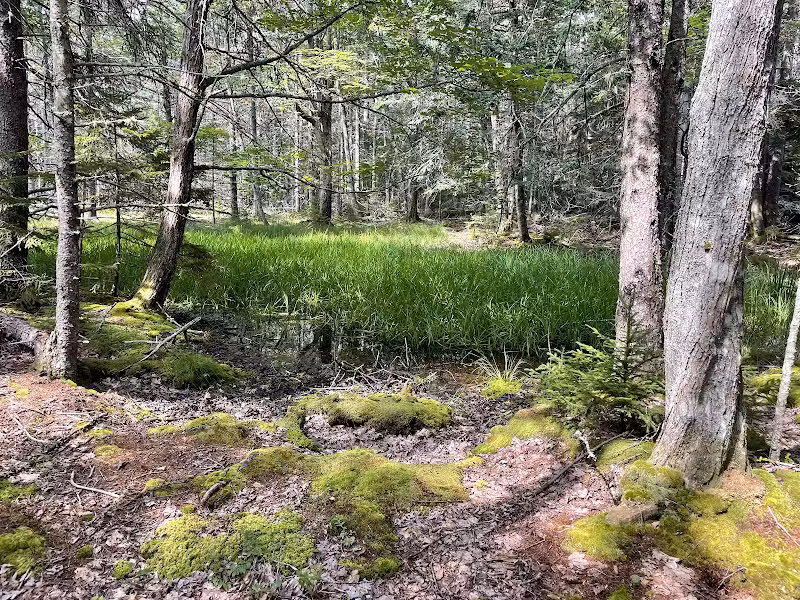 Shore Acres Preserve - Deer Isle, ME