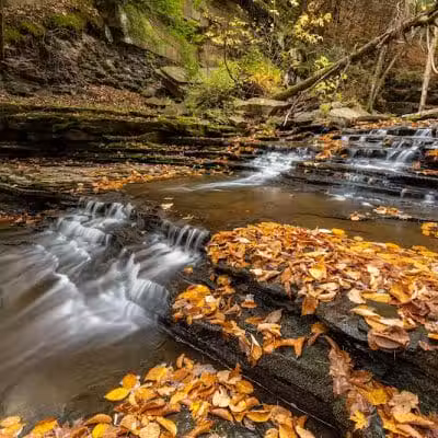 Christman Sanctuary - Delanson, NY