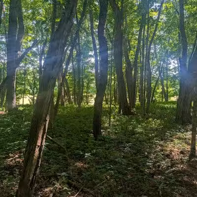 Christman Sanctuary - Delanson, NY