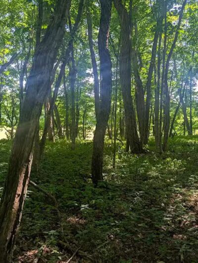 Christman Sanctuary - Delanson, NY