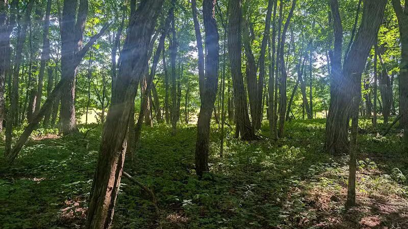 Christman Sanctuary - Delanson, NY