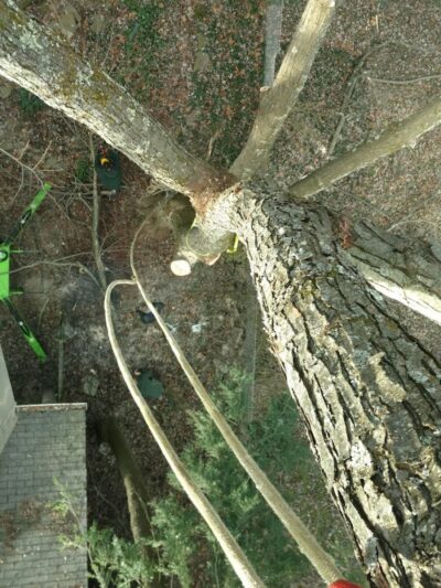 Kovalczik Park - Delmont, PA