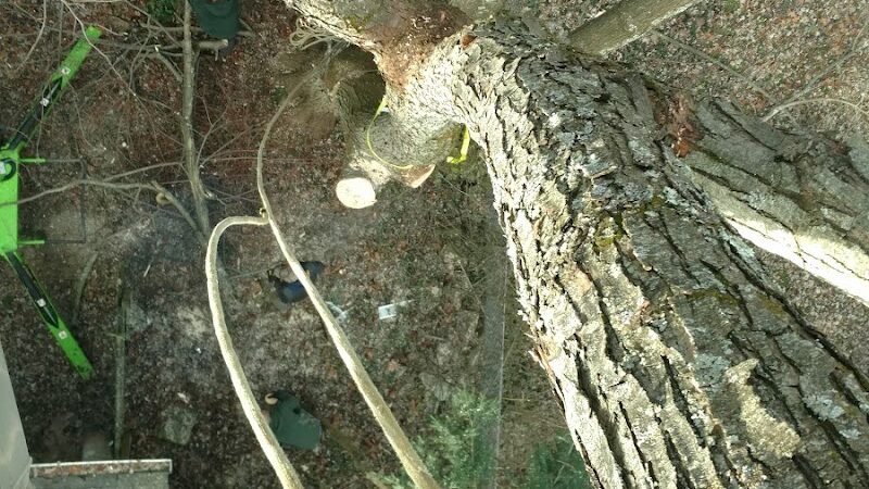 Kovalczik Park - Delmont, PA