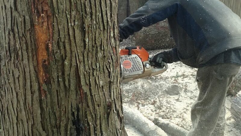 Kovalczik Park - Delmont, PA