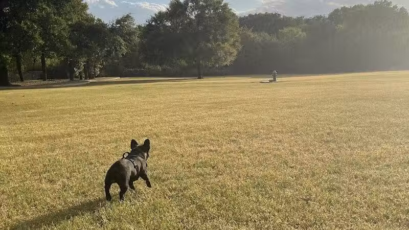 Wiggly Field Dog Park - Denton, TX