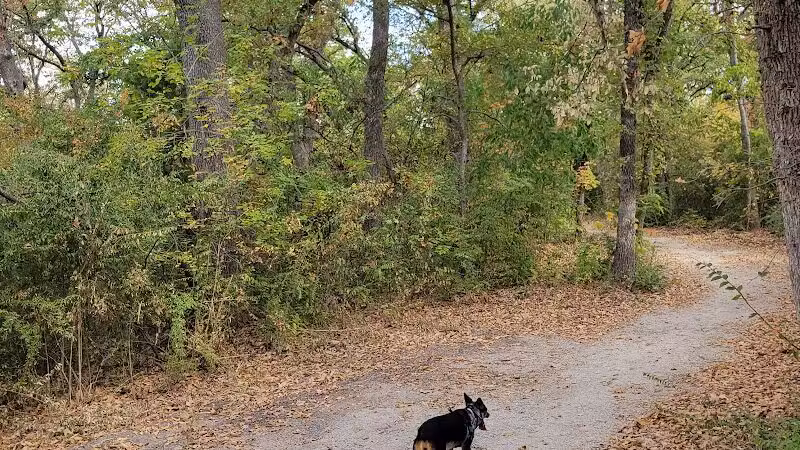 Wiggly Field Dog Park - Denton, TX